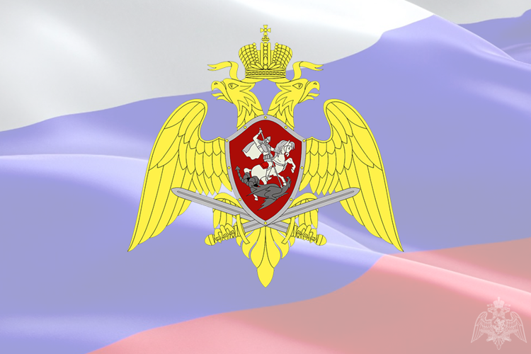 Росгвардия обеспечила безопасность граждан в новогоднюю ночь