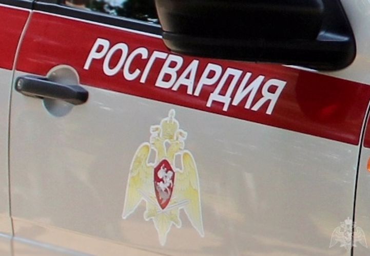 Донские росгвардейцы пресекли хищение металла с охраняемого предприятия