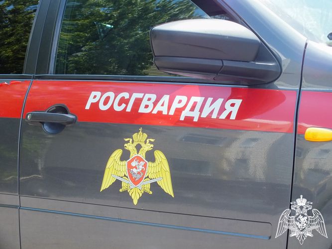 В Ростовской области сотрудники вневедомственной охраны пресекли ряд правонарушений  