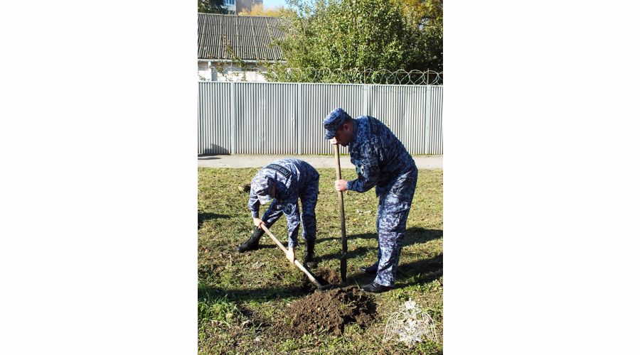 Донские росгвардейцы присоединились к патриотической акции «Древо Сталинграда»