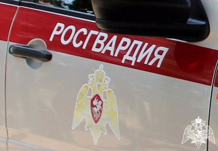 Росгвардия пресекла ряд правонарушений в донском регионе 
