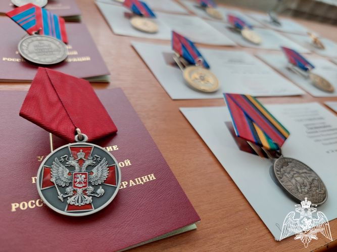 Росгвардейцы из Ростова-на-Дону удостоены государственных и ведомственных наград