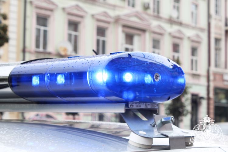 Ряд правонарушений пресекли росгвардейцы в Ростовской области