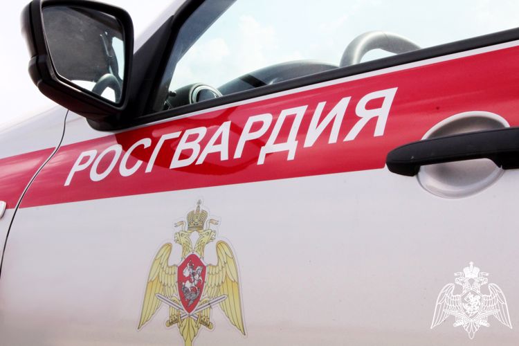 Росгвардия в Ростовской области пресекла порядка 30 правонарушений 