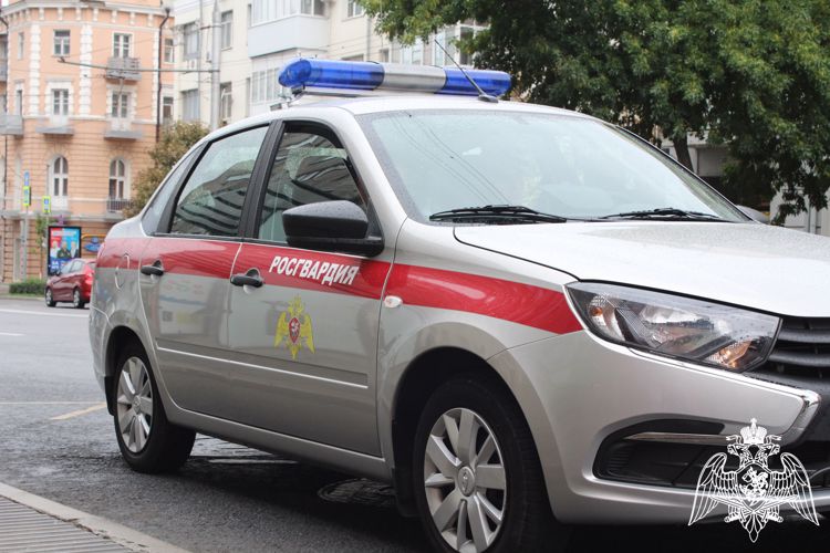 20 злоумышленников задержали росгвардейцы в Ростовской области