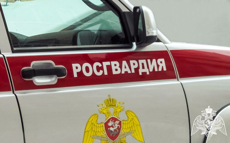 Росгвардейцы задержали более 10 злоумышленников в Ростовской области