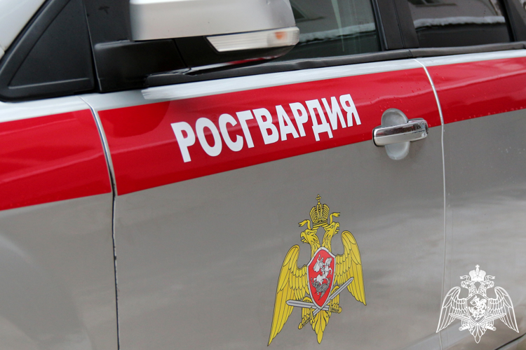 Ряд административных правонарушений пресекли росгвардейцы в Ростовской области  