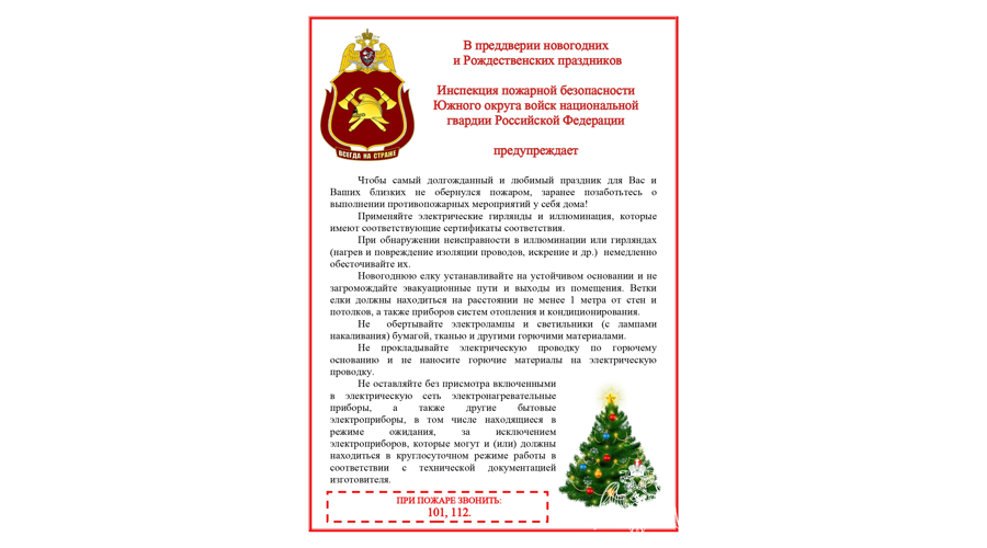 О безопасности в период январских праздников донским жителям напоминает Росгвардия 