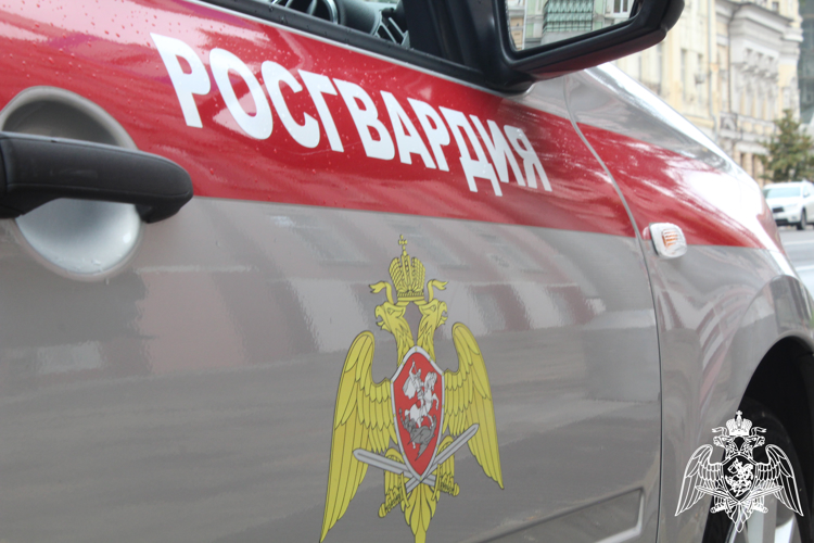 Росгвардейцы передали полиции порядка 20 злоумышленников в Ростовской области