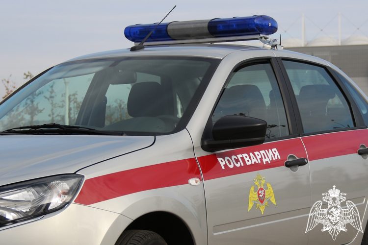 В течение трех недель росгвардейцы задержали ряд злоумышленников в донском регионе