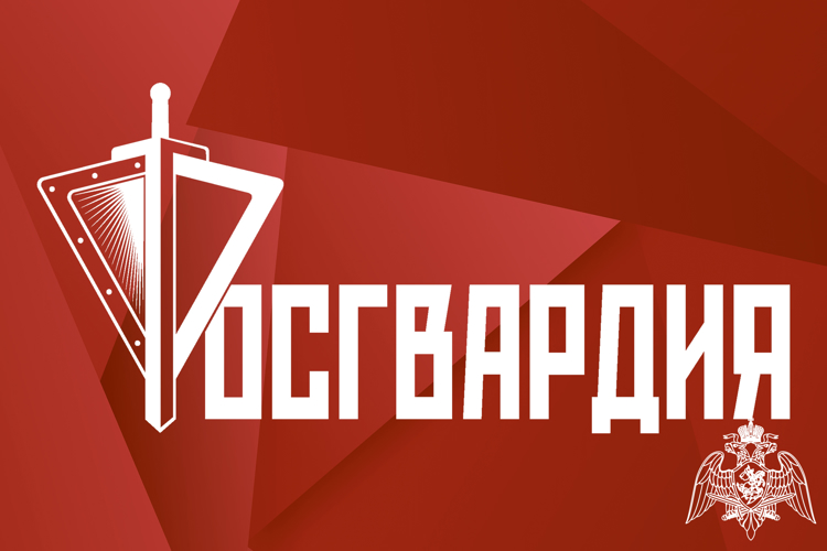 Инспекторы Росгвардии изъяли из оборота более 2 тысяч единиц оружия в Ростовской области