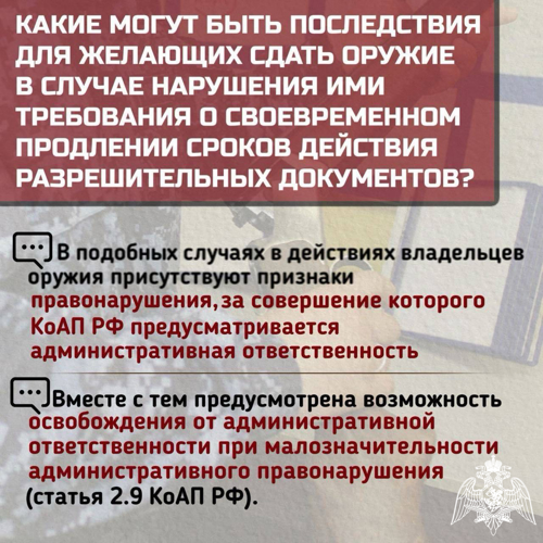 Дончане могут сдать оружие для нужд СВО в Росгвардию 