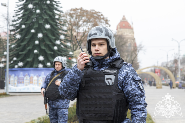 Росгвардия обеспечит охрану правопорядка в период новогодних праздников на Дону