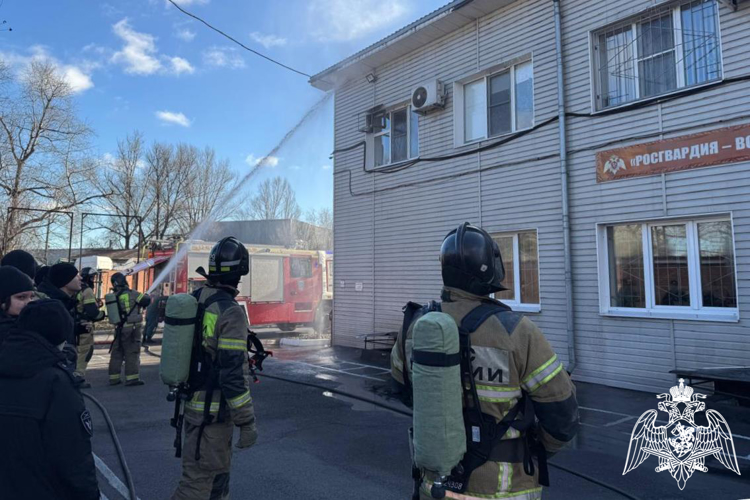 Тренировка Росгвардии и МЧС прошла в Ростовской области