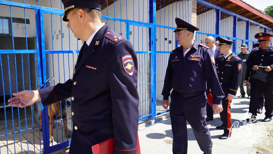 При участии Росгвардии в Ростове-на-Дону состоялось открытие международных соревнований среди кинологов