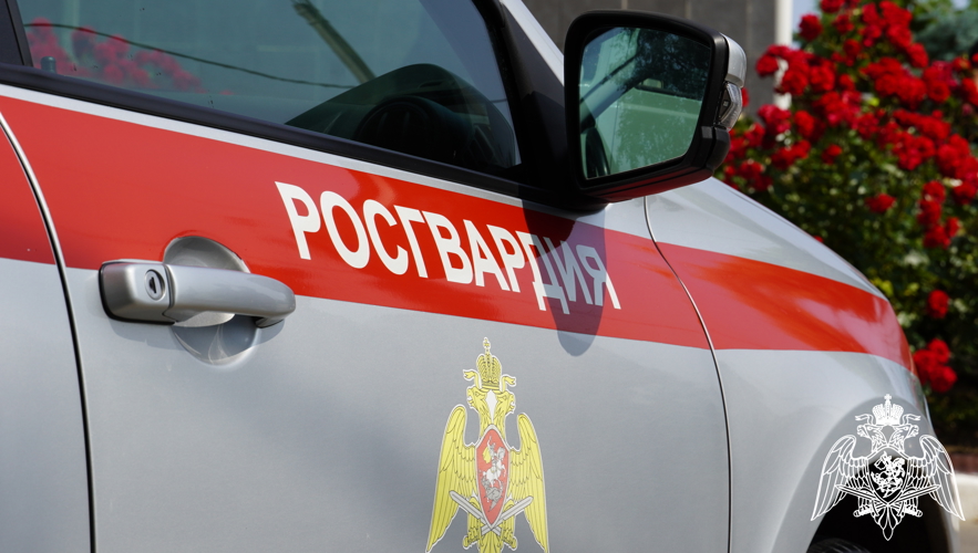 В донском регионе росгвардейцы передали полиции более 20 злоумышленников