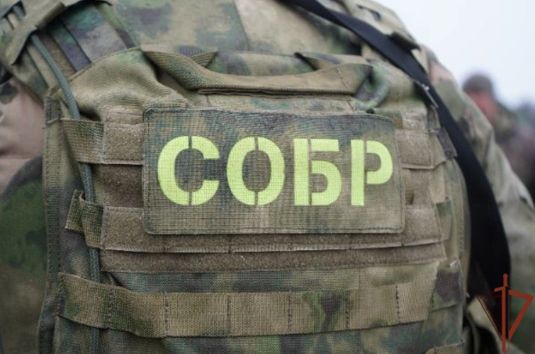 Деятельность группы наркодилеров пресекли при участии Росгвардии в Ростовской области