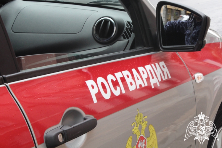 В Ростовской области сотрудники вневедомственной охраны Росгвардии помогли ребенку найти потерянный телефон
