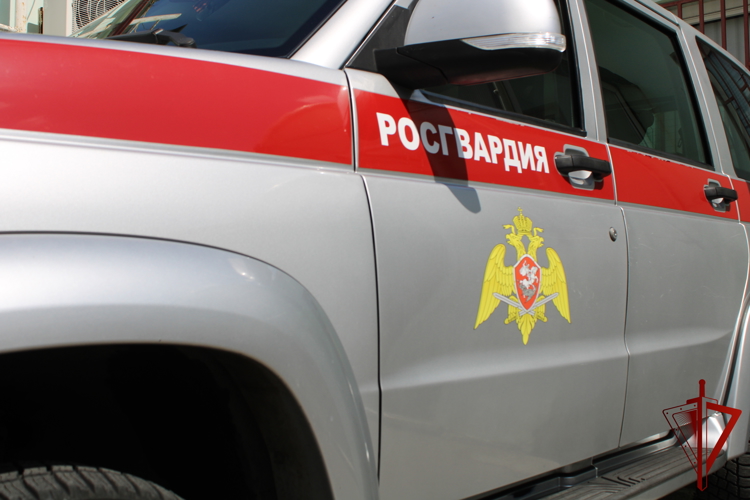 В Ростовской области экипаж вневедомственной охраны задержал нетрезвого посетителя городского пляжа за хулиганство 